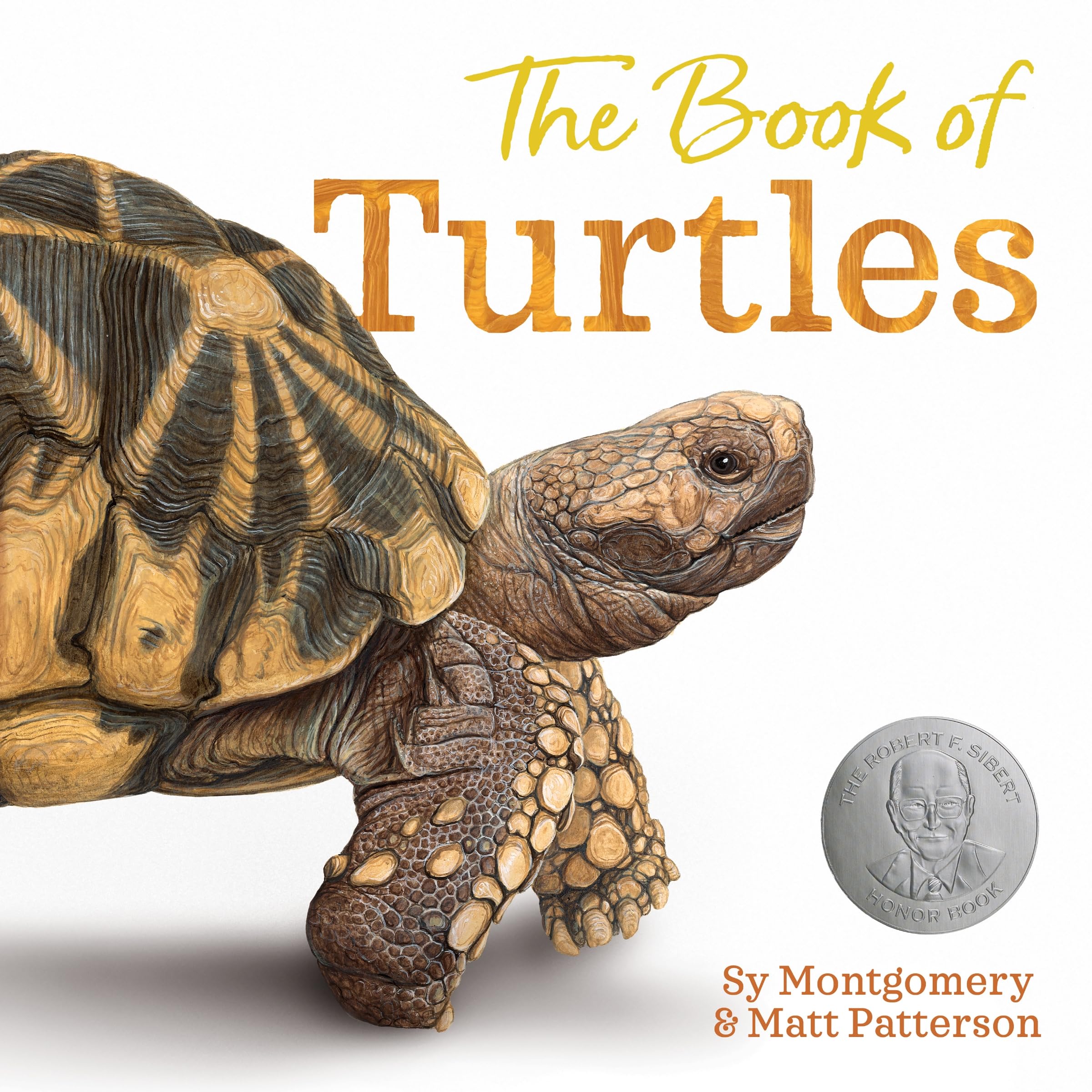 The Book of Turtles: Montgomery, Sy, Patterson, Matt: 9780358458074:  Amazon.com: Books